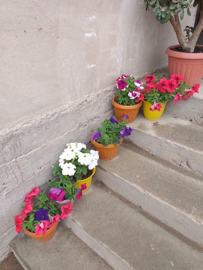 Ecoulan Bed & Breakfast Kochkor Bagian luar foto